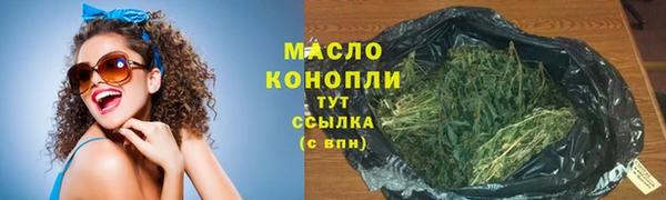 винт Елабуга