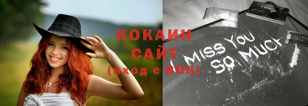 молекула духа Елизово