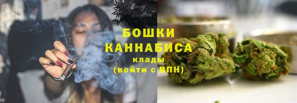 хмурый Ельня