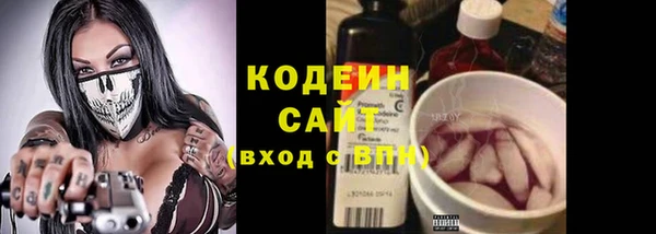 молекула духа Елизово
