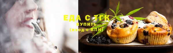 хмурый Ельня