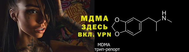 молекула духа Елизово