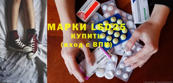 хмурый Ельня