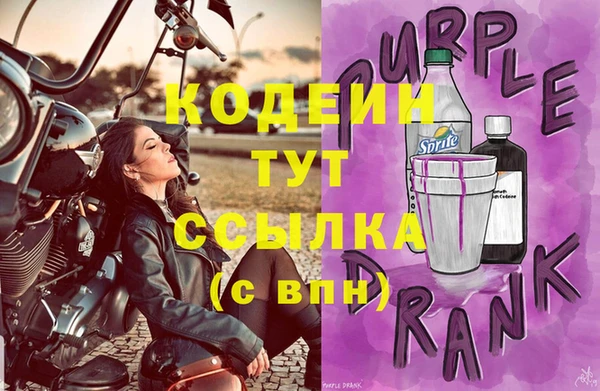 хмурый Ельня