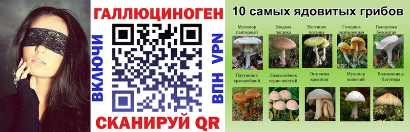 KRAKEN ССЫЛКА  Цимлянск  Псилоцибиновые грибы Cubensis 