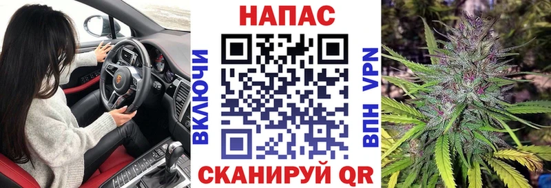 купить наркотик  Цимлянск  Бошки Шишки сатива 